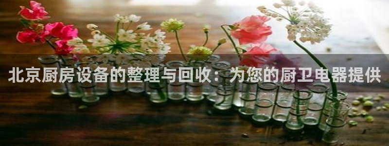 尊龙t600怎么样