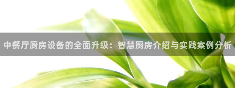 尊龙凯时官网