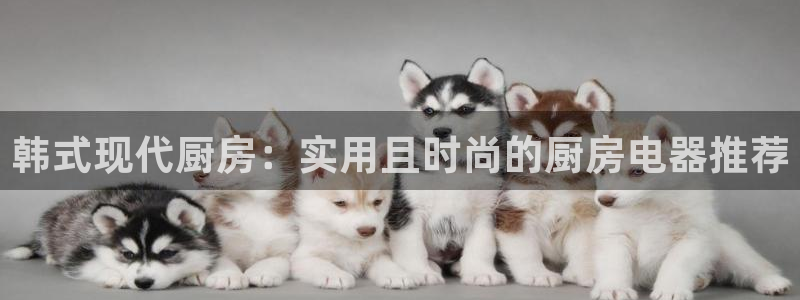 尊龙凯时手机版·(中国)官方网站