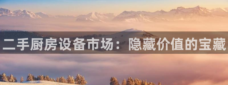 尊龙官网网页版