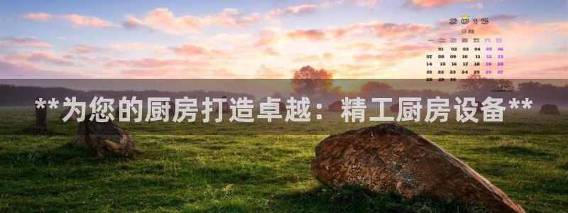 z6尊龙凯时ag旗舰厅：**为您的厨房打造卓越：精工厨房设备