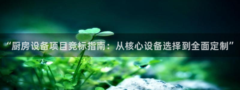 尊龙百度百科