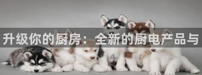 尊龙凯时平台官网