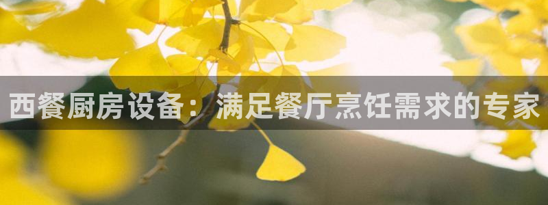 尊龙信息科技有限公司：西餐厨房设备：满足餐厅烹饪需求的专家