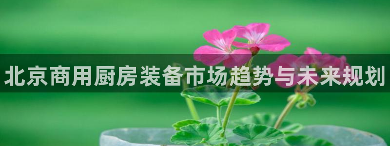 尊龙人生就是博官方官网