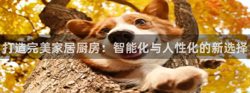 尊龙凯时福米推荐人