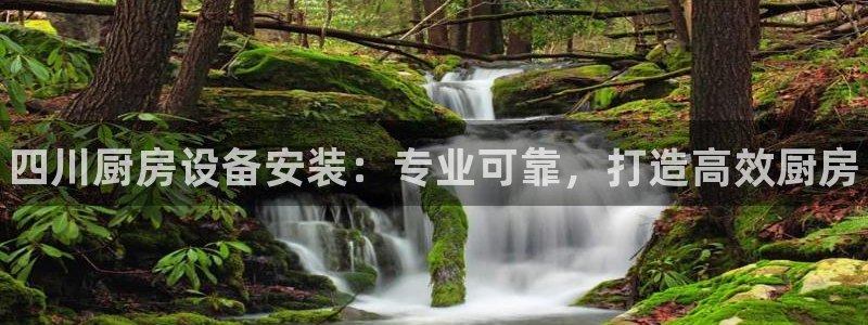 d88尊龙手机登录下载：