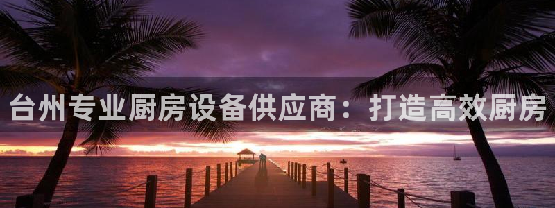 尊龙凯时代理：台州专业厨