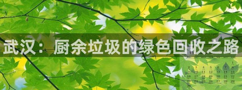 凯时国际app首页登录入口