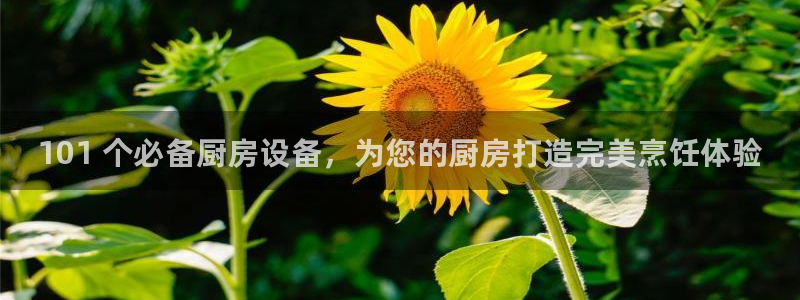 尊龙eight is enough