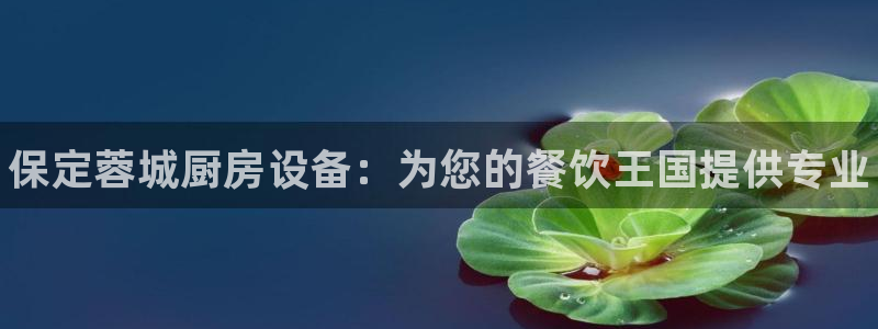 凯时kb88官方：保定蓉城厨房设备：为您