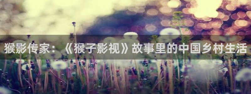 老司机影片：猴影传家：《猴子影视》故事里的中国乡村生活