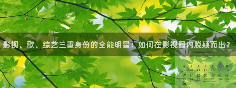 老司机电影网视频：影视、歌、综艺三重身份的全能明星：如何在影视圈内脱颖而出？