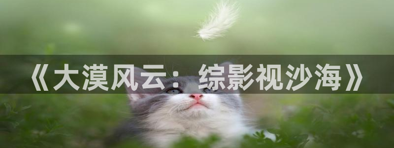 老司机影院电影免费：《大漠风云：综影视沙海》
